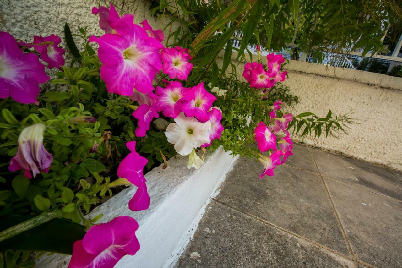 Marietta'S Townhouse Villa Argostoli  Eksteriør bilde