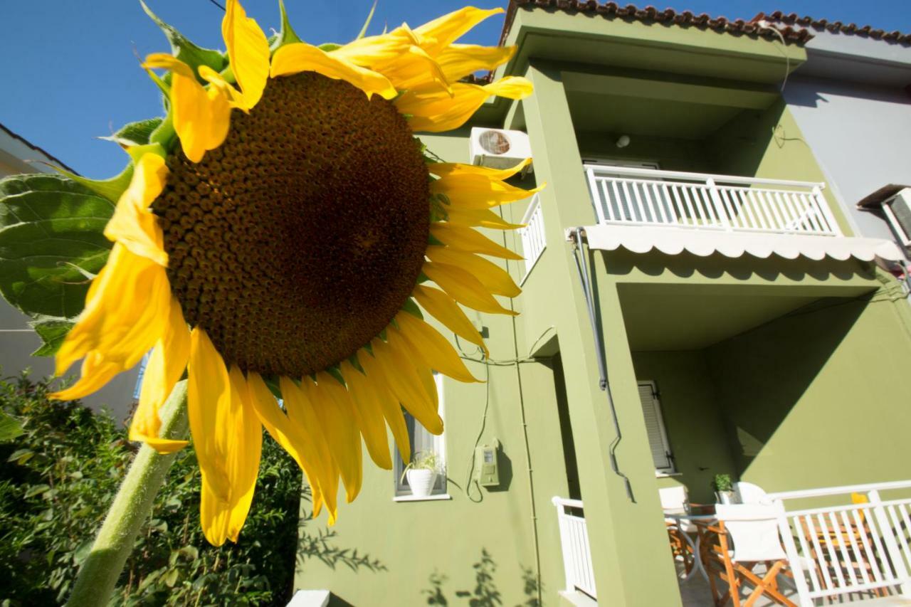 Marietta'S Townhouse Villa Argostoli  Eksteriør bilde